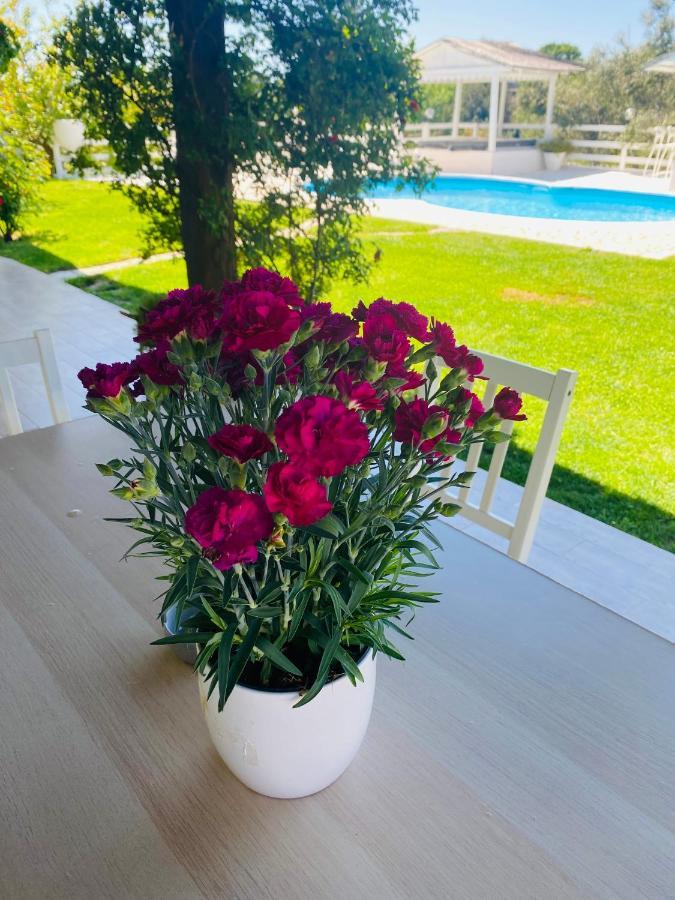 Chanel Garden Relaxation Home Formello Εξωτερικό φωτογραφία